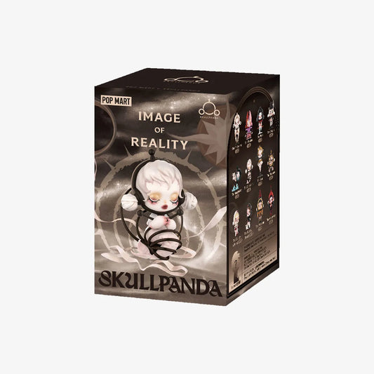 POP MART SKULLPANDA Image Of Reality Series